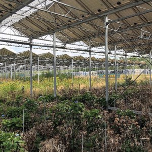 Grundstück Gartenbau mit Photovoltaikanlage, Regensburg, Bayern, über 10.000 qm, unter 1 mio. EUR